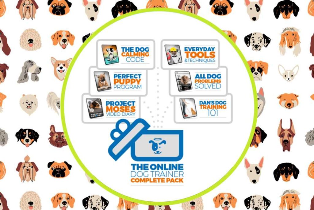 A large banner advert for the online dog trainer, including various course icons on a background of dog faces.