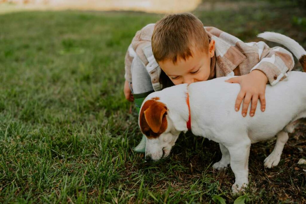 A young boy playing with a brown and white Jack Russell in the garden.