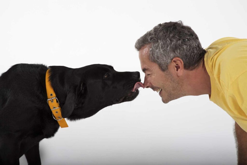 A black Lab and it's owner nose to nose, with the Lab licking it's owners nose.